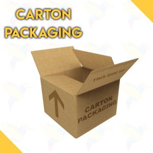 Carton Packaging Sneha Creation